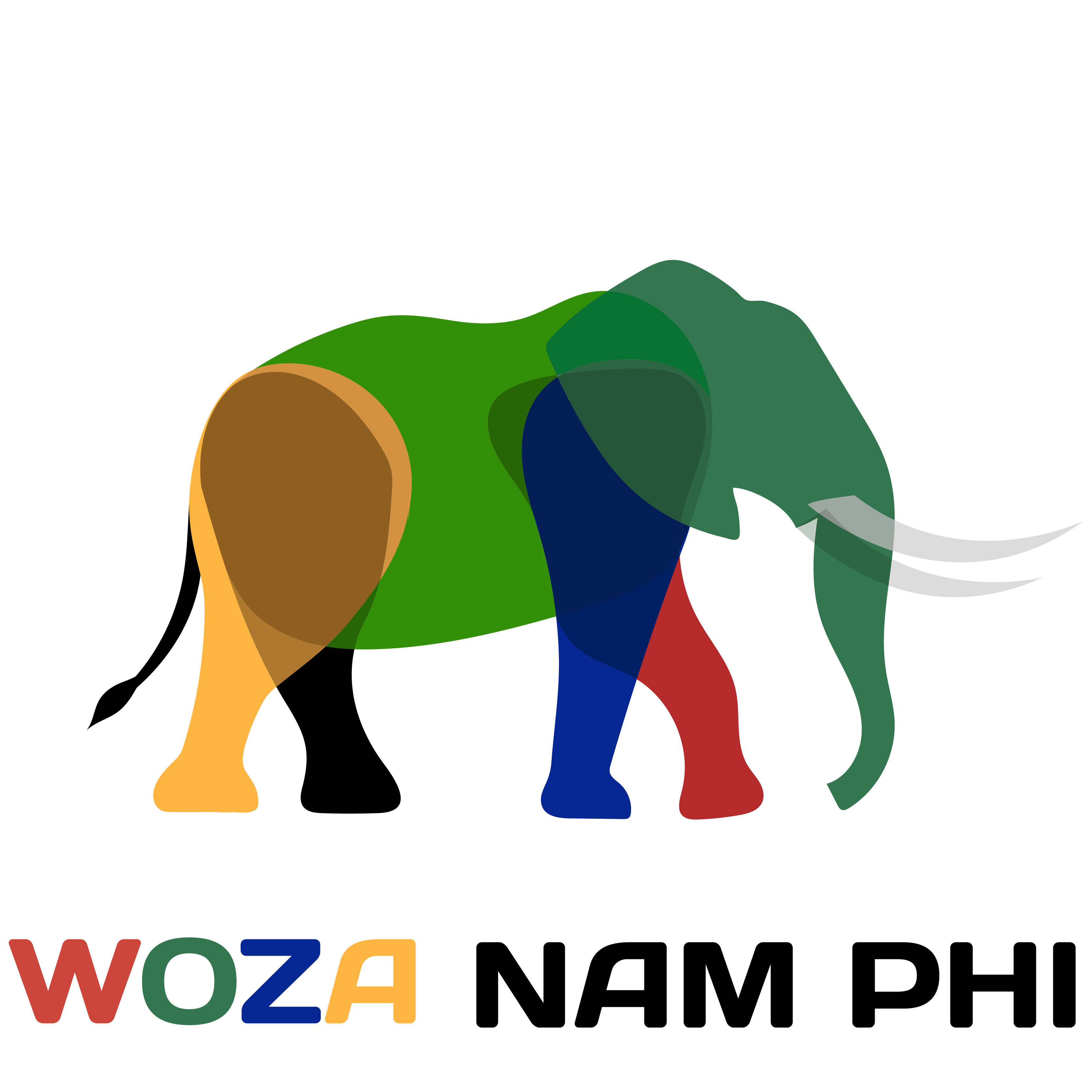 Logo Công Ty TNHH WOZA Nam Phi